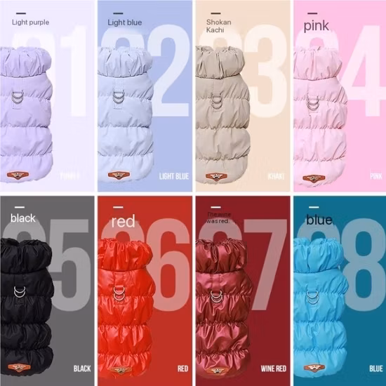 Boqu Hund im neuen Design